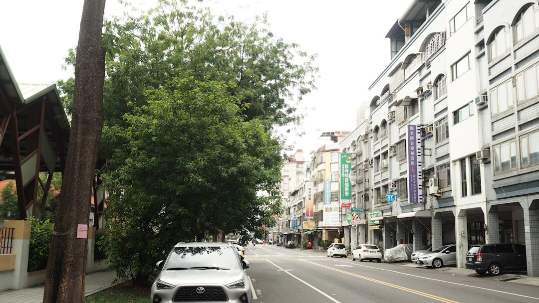 neighborhood street scene