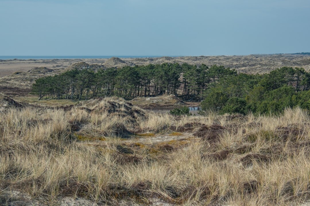 Coastal view of a small Danish island with scattered houses